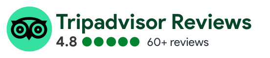TripAdvisor Reviews